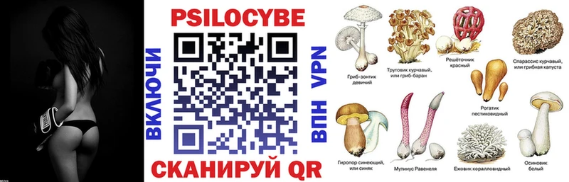 Псилоцибиновые грибы GOLDEN TEACHER  хочу наркоту  Александровск-Сахалинский 